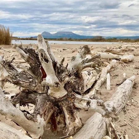 Argonavis Planta Baja Lägenhet